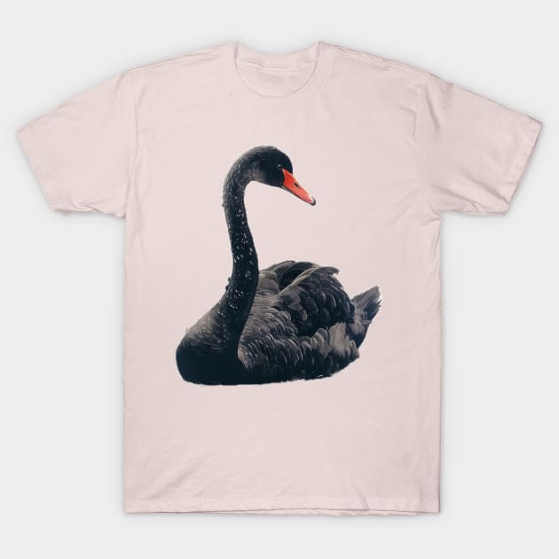 Black Swan T-Shirt by CharlesAFish
